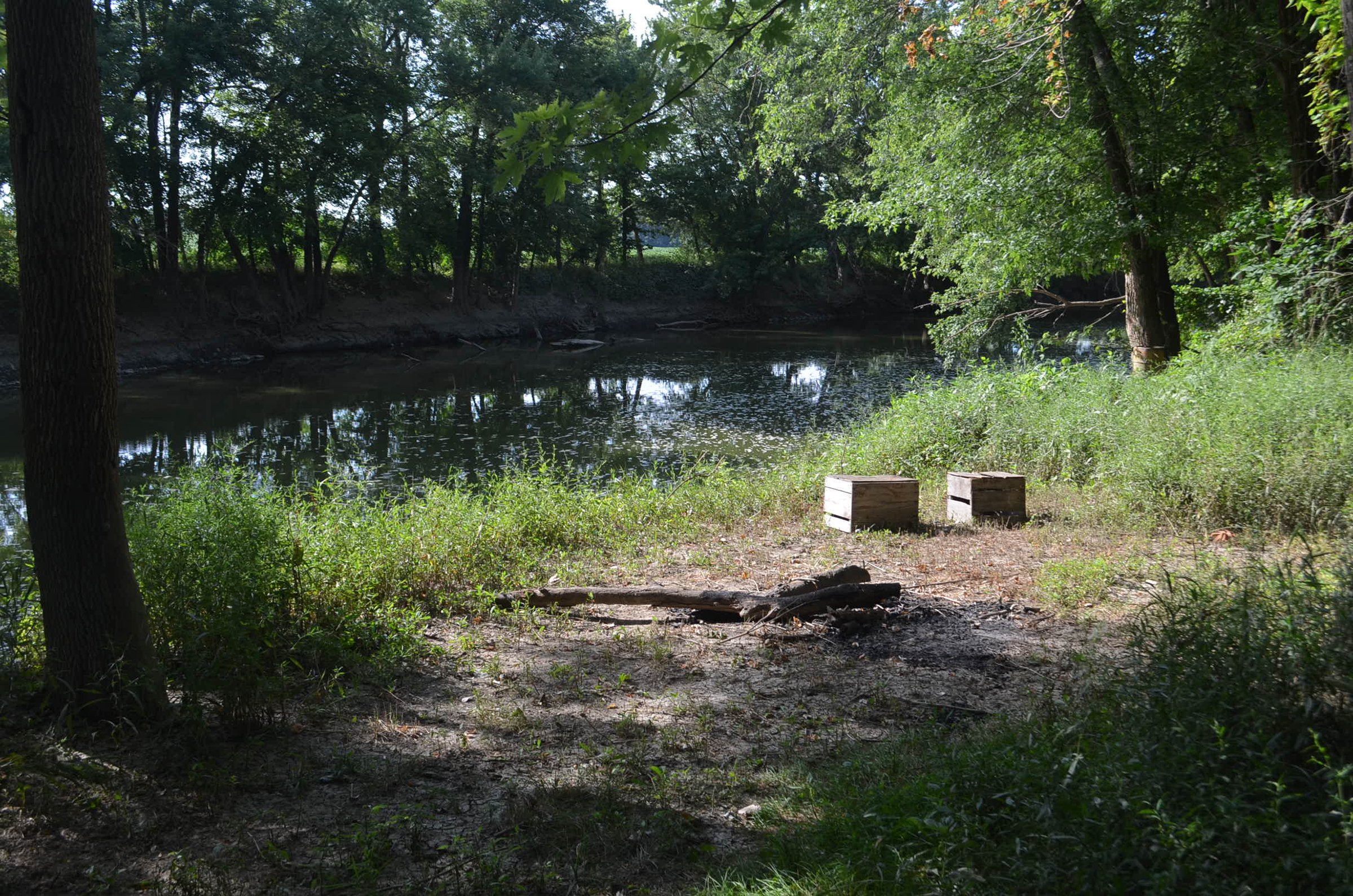 Property photo 28 - REAL ESTATE AUCTION - 26+/- ACRES IN 3 TRACTS IN SOUTHWEST ALLEN COUNTY, INDIANA